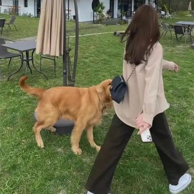 哈利波特:凤凰会的密令
